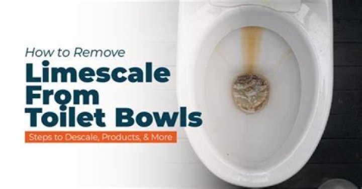How do you remove algae from a toilet bowl?
