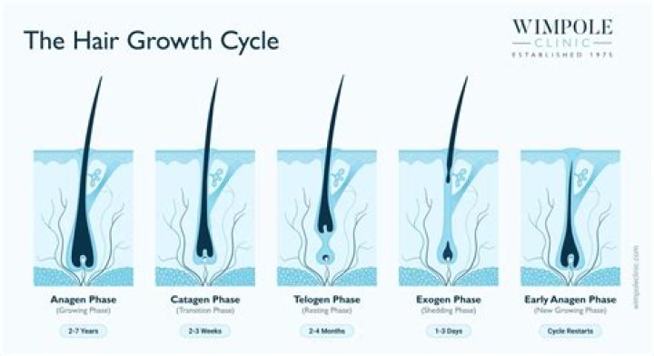 How do you stop body hair from growing permanently?