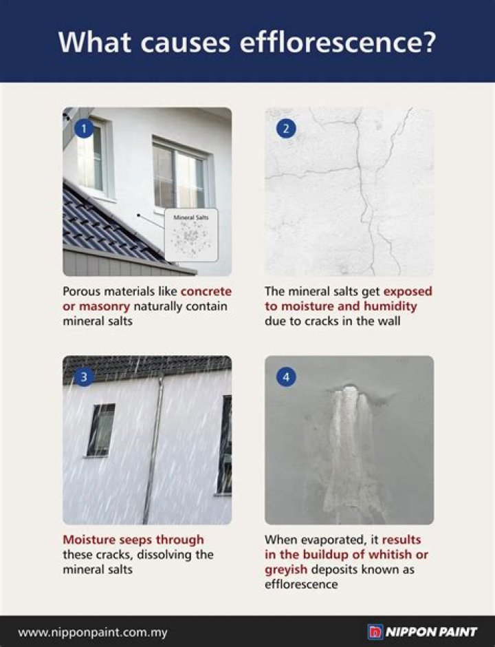 How do you stop efflorescence?