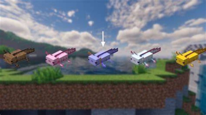 How do you summon the rarest axolotl in Minecraft?