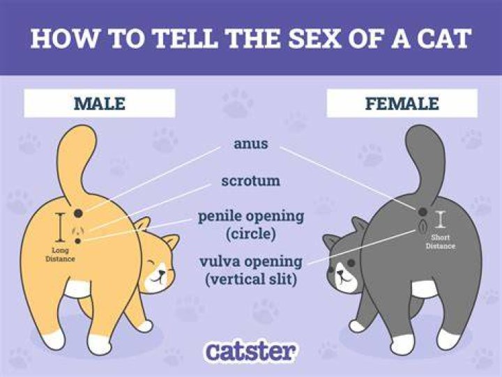 How do you tell if a man is smitten with you?