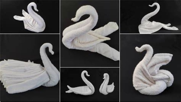 How do you towel a bird?
