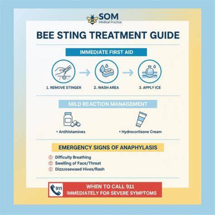 How do you treat a ground bee sting?