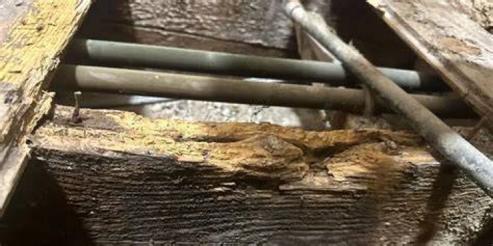 How do you treat dry rot in joists?