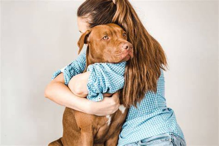 How does a dog hug you?