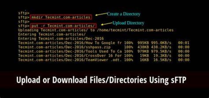How download SFTP file in Linux?