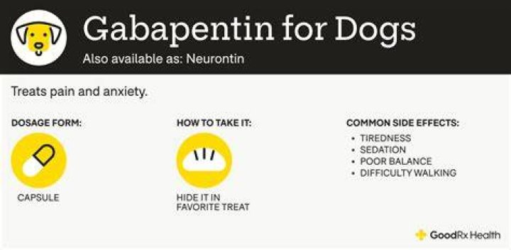 How effective is gabapentin for dogs?