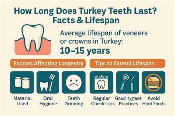 How long do Turkey teeth last?