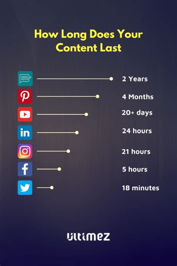 How long does bio media last?