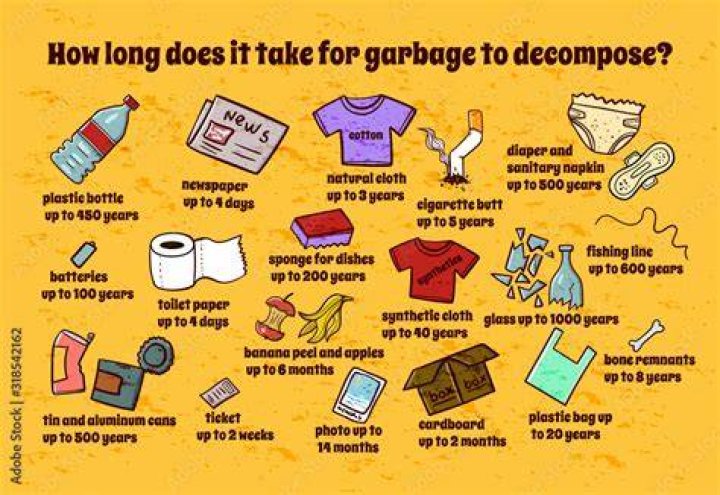 How long does gum take to decompose?