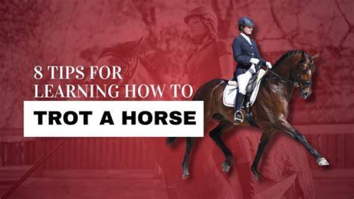 How long does it take to learn to trot on a horse?