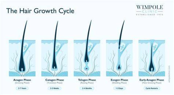 How long does it take to train your hair to be washed less?
