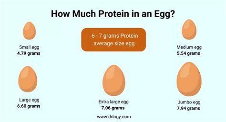 How many eggs is enough protein?
