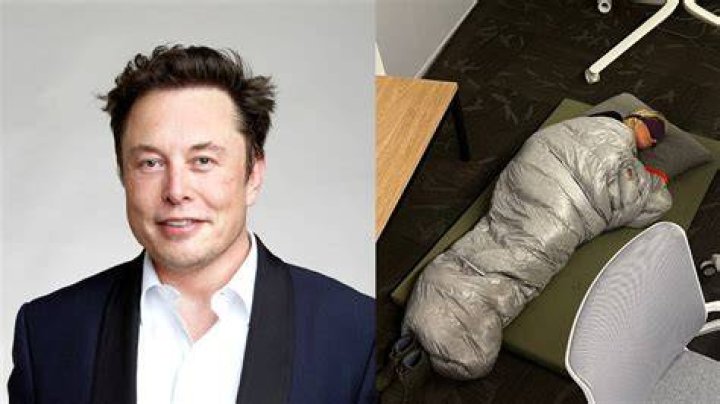 How many hours did Elon Musk sleep?