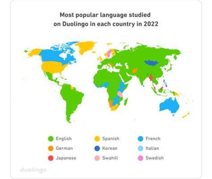 How many languages are on Duolingo?