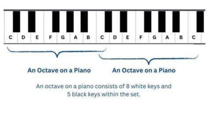 How many octaves Adele have?