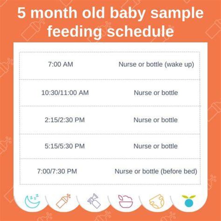 How many times a day do u feed goldfish?