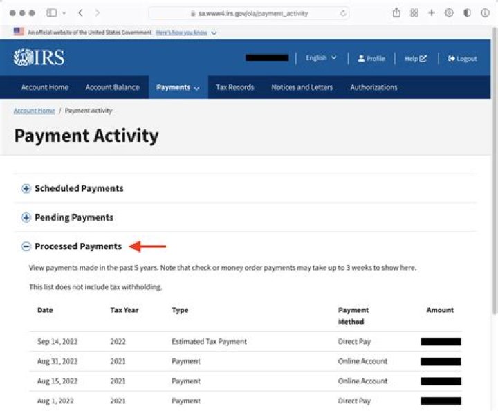 How many years will the IRS let you make payments?