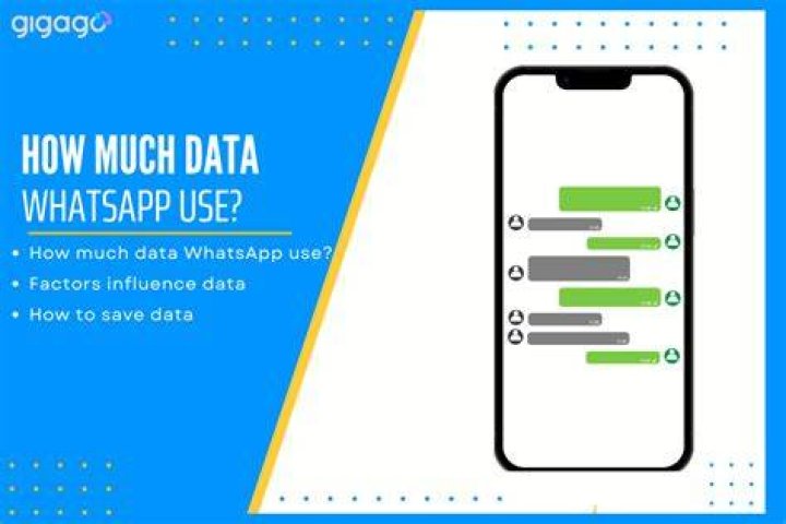 How much data does a 1 hour WhatsApp call use?