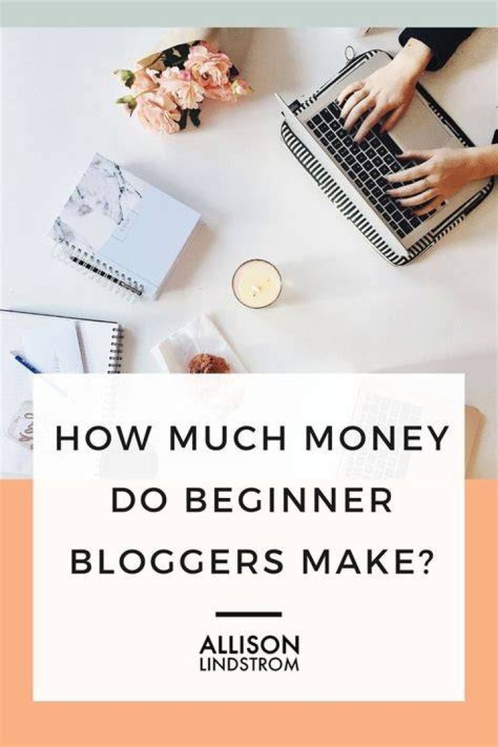 How much money can a beginner blogger make?
