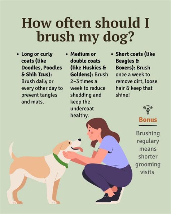How often should I brush my dog?