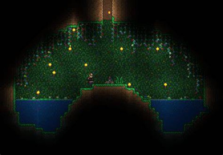 How rare is the Uzi in Terraria?