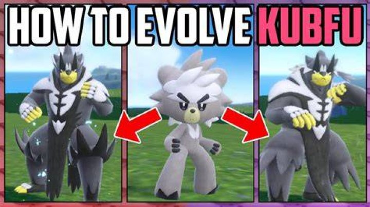 How should I evolve Kubfu?