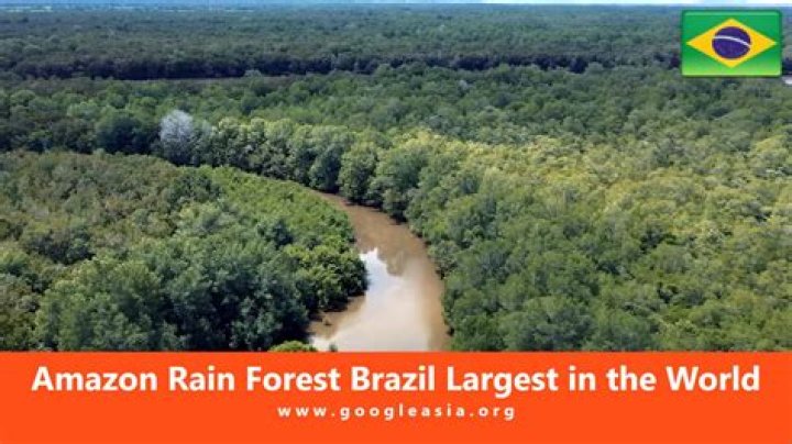 In which country is the world's largest tropical rainforest?