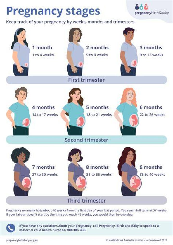 Is 15 weeks considered 4 months pregnant?