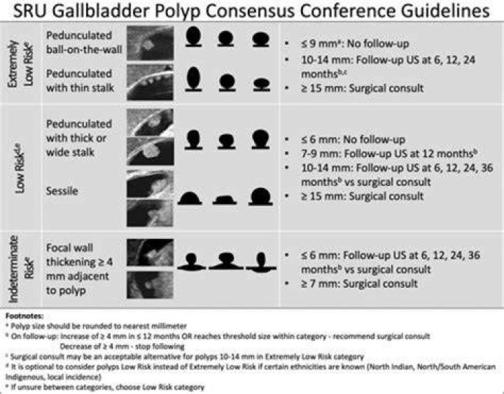 Is a 5 mm polyp big?