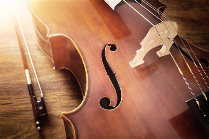 Is a cello a chordophone?