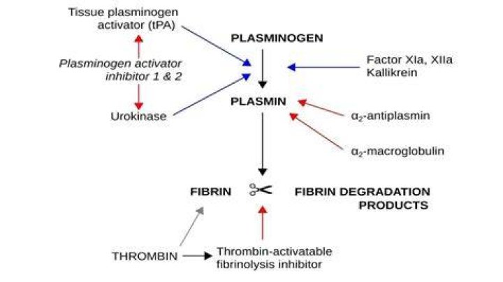 Is aspirin a fibrinolytic?