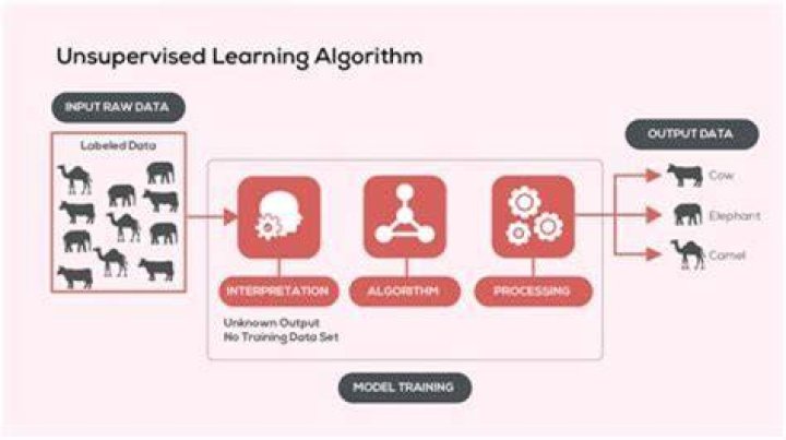 Is autoencoder an unsupervised learning algorithm?