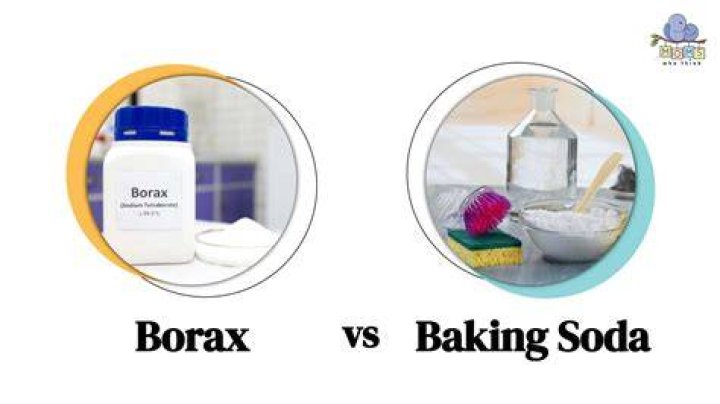 Is baking soda and borax the same thing?