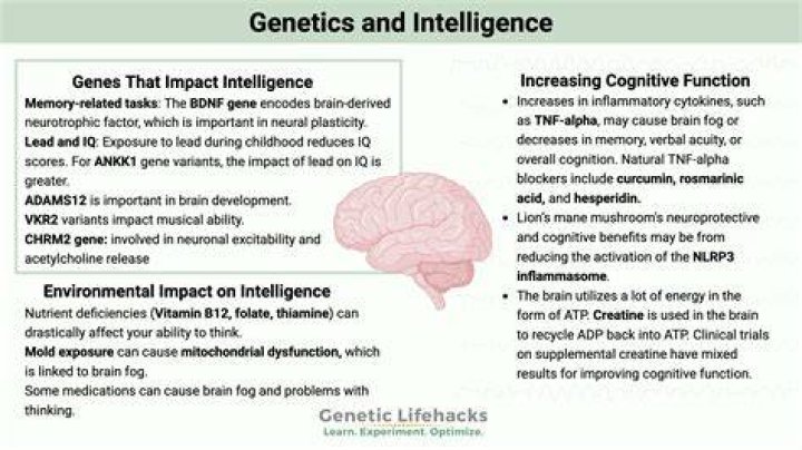 Is being smart genetic?