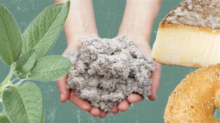 Is cellulose safe to consume?