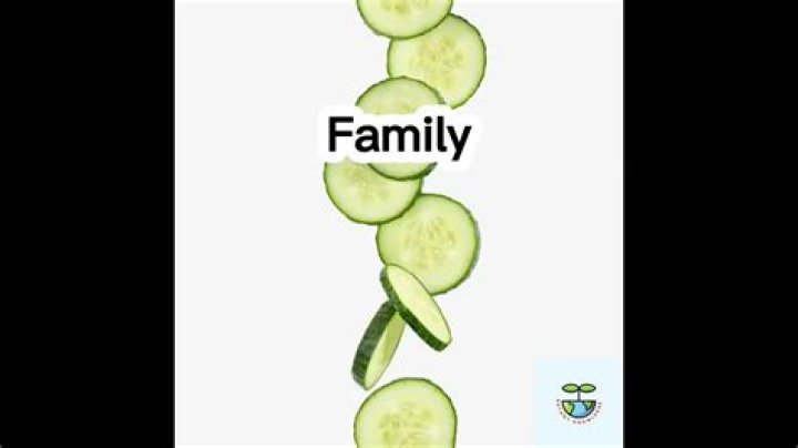 Is cucumber a berry?