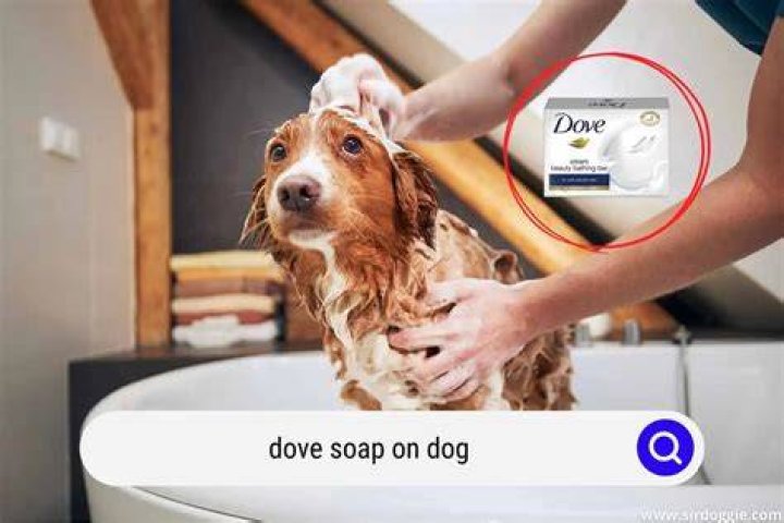 Is Dove soap safe for dogs?