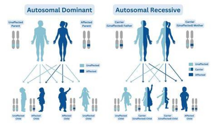 Is Down syndrome dominant or recessive?