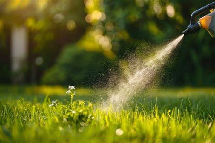 Is it better to pull weeds or spray them?