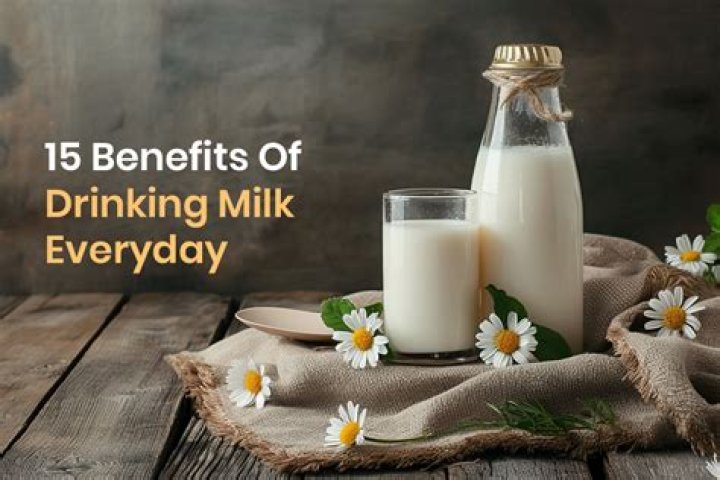 Is it good to drink milk everyday?