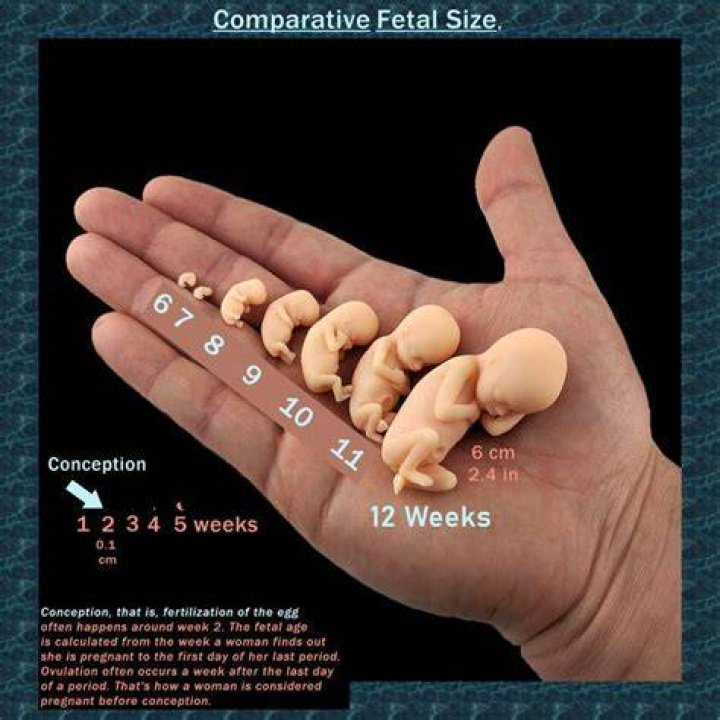 Is it OK to have a baby at 14?