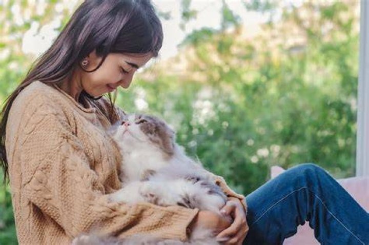 Is it OK to leave stray cats outside?