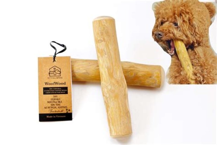 Is it OK to let dogs chew on sticks?