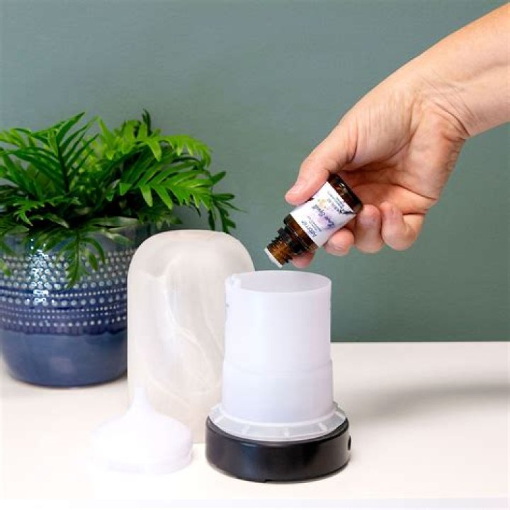 Is it okay to use a diffuser around cats?