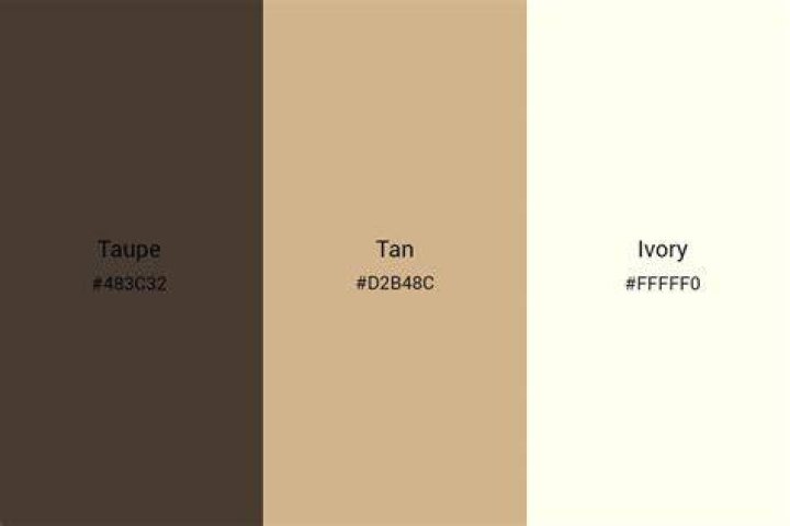 Is Ivory a color?