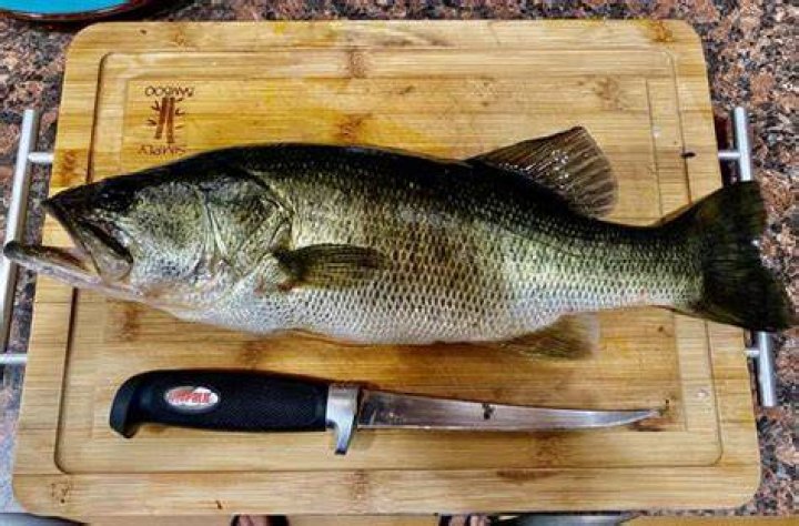 Is largemouth bass good to eat?