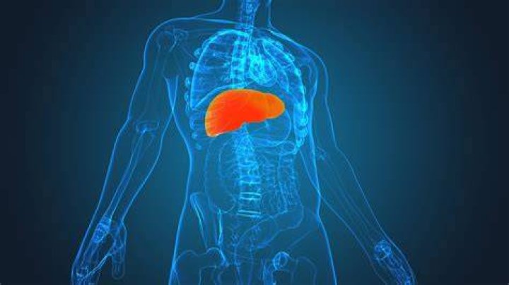 Is nandrolone liver toxic?