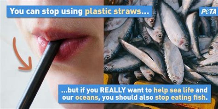 Is PETA against eating fish?