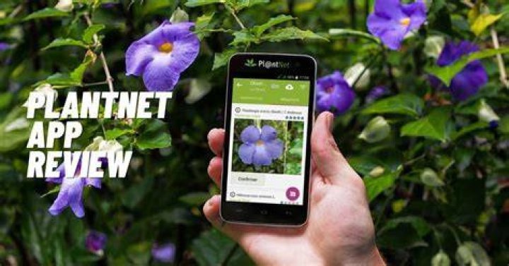 Is PlantNet app free?